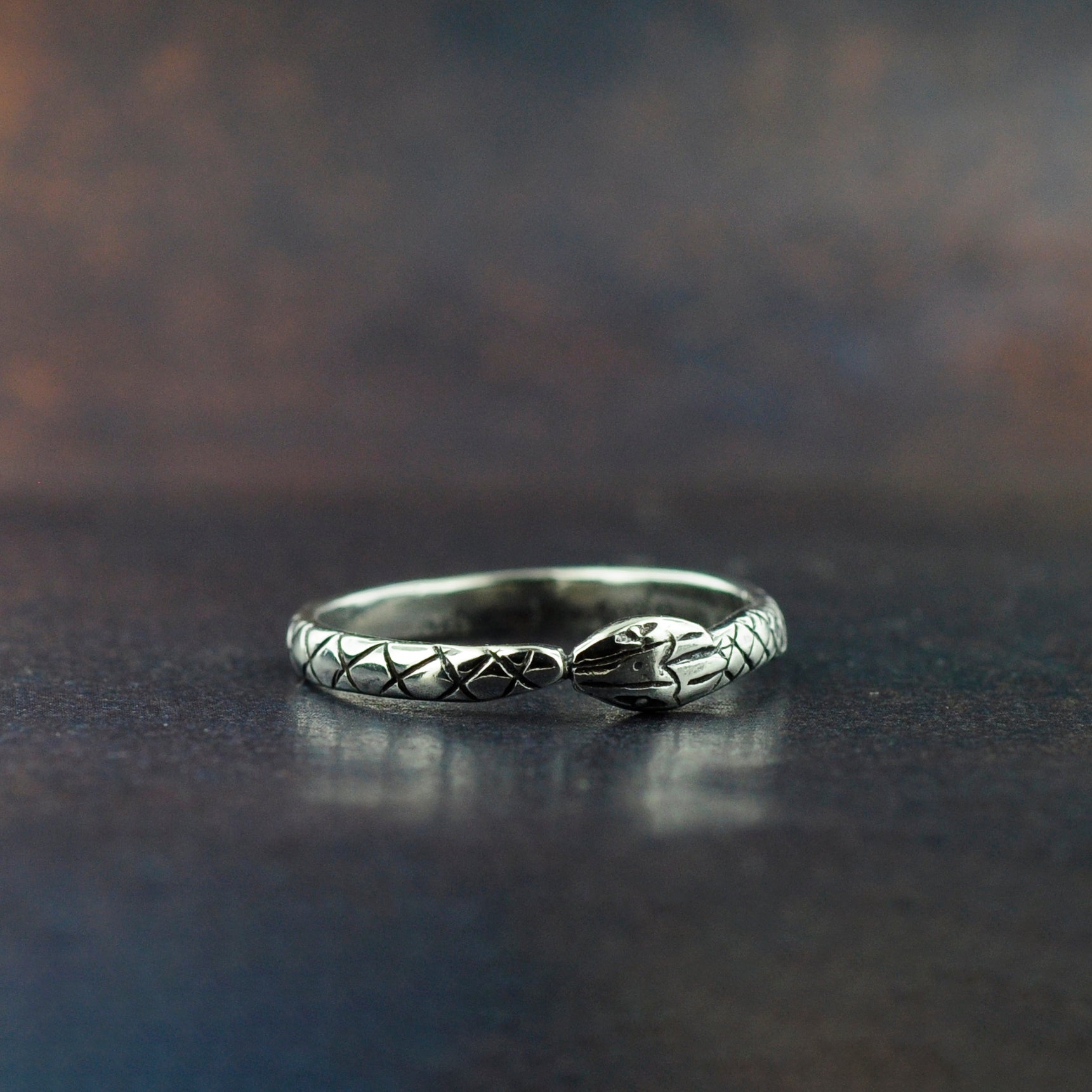 Silver Tiny Ouroboros Ring, snake ring, snake